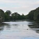 OTRA2014_1628 (September 03, 2014)